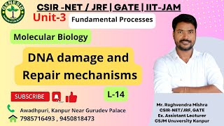 DNA damage and Repair mechanisms  Double Strand Break Repair  NHEJ  HLR  L14 [upl. by Mcknight896]