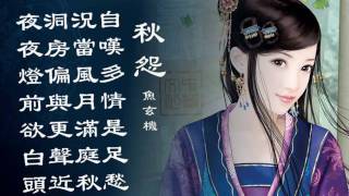 林海 Lin Hai  琵琶語 Pipa Language Feat 唐代才女） [upl. by Nohpets]