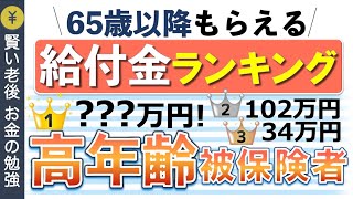 【65歳以降もらえる】高年齢被保険者給付金ランキング：失業・介護・学び直し [upl. by Aihsenek]