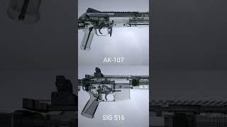 SIG 516 Vs AK 107 [upl. by Kerred217]