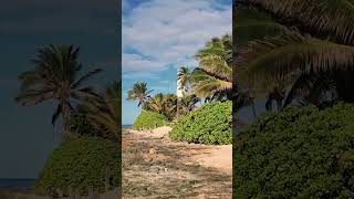 Barbers Point Beach Oahu Hawaii ⛱️ ☂️ 🏖 🌊 🌺 🌺 🌺 [upl. by Arutek922]