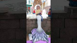 Guy photobombs a mermaid and it was great [upl. by Ennaesor]