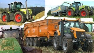 Hirse  Mais häckseln mit BigX 700 amp 600  JCB 8250  Bandit 980 Xerion Fendt 926824820 [upl. by Dion900]