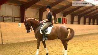 Dressage Exercise  Walk Pirouettes [upl. by Irrep]