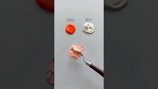 Color Mixing  Orange White Light Orange  How to create a new color colormixing asmr satisfying [upl. by Hajan]