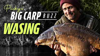 Peckys Big Carp Buzz  Wasing Estate Oxlease Chasing Monster Carp  Korda 2021 [upl. by Izzy138]