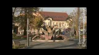 Vreme je za bebe 200512flv [upl. by Rem]