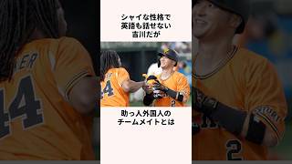 「優しい守備職人」吉川尚輝に関する雑学野球日本の野球選手読売ジャイアンツ [upl. by Omrellug]