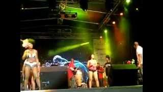 Pink Diamond  Caiso amp Soca monarch 2013 [upl. by Thesda]