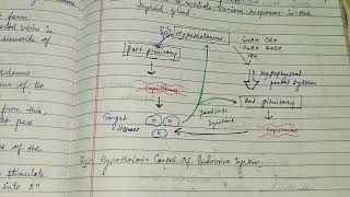 Hypothalmohypophyseal portal system hypothalamus alkaranigupta8791 zoologynotes zoology [upl. by Olympias652]