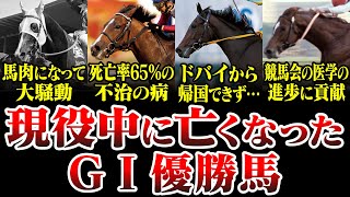 【競馬】名馬たちの悲劇。現役中に亡くなったG1優勝馬たち [upl. by Eldwin]