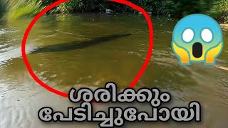 ഇതു ഞങ്ങൾ ഒട്ടും പ്രതീക്ഷിച്ചില്ല😱😱snakehead fishing [upl. by Svetlana205]