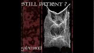 STILL PATIENT  Agoraphobia [upl. by Saxet]