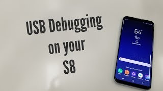 USB Debugging Mode aka Beast mode on the S8 [upl. by Ehr]