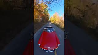 Coming Soon  FallAutumn Scenic Drive Ontario Canada fall fallcolors [upl. by Claudia]