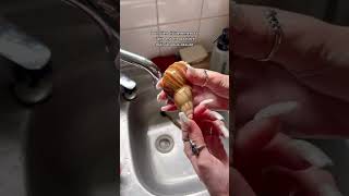 Je vernis la coquille de Poire 🍐 escargots escargotsgéants animaux YouTubeCreatorCommunity [upl. by Derwon]