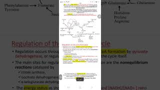 biochemistry citric acid cycle part 4 [upl. by Airliah]