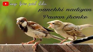 Panchhi Nadiyan Pawan ke jhonke bird status songs lyrics point status [upl. by Guenevere]