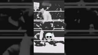 Brock Lesnar ft undertaker brocklesnar thebeastincarnate shorts [upl. by Okkin]