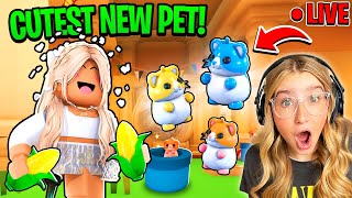 NEW Hamsters UPDATE in Adopt Me Neon Diamond Hamster Roblox LIVE [upl. by Goldia]