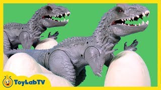 Jurassic World Toys Indominus Rex Dinosaur Action Figure amp Play Doh Surprise Dinosaur Eggs [upl. by Lilybelle]