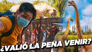 Esto me SORPRENDIÓ de CHILE 🇨🇱 Visitando el Zoologico Safari de Rancagua Un león paso arriba mío [upl. by Nekal]