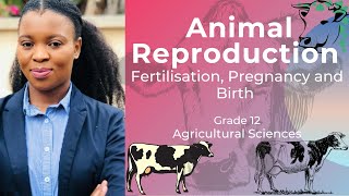 Class 12 biology chapter 3part 9pregnancy and embryonic developmentstudy with farru [upl. by Zined]