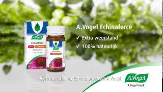 AVogel Echinaforce  Immuunsysteem en weerstand [upl. by Hubey]