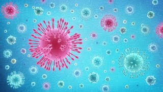 What Is Coronavirus COVID19 [upl. by Anitsyrk897]