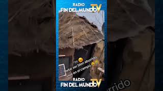 😅🎶👉🏽 𝙎í𝙜𝙪𝙚𝙣𝙤𝙨 𝙚𝙣 radiofindelmundotv ⭐️ radiofindelmundotv futbol Reels [upl. by Swainson]