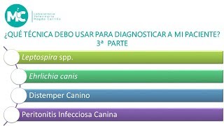 PARTE 3 ¿Qué técnica debo usar para diagnosticar a mi paciente [upl. by Novel]