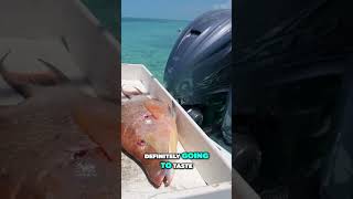 MaritimeExpeditions CEVICHE at the SANDBAR in the BAHAMAS hogfish bahamas ceviche [upl. by Eytteb]