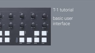 T1 basic user interface [upl. by Arykat]