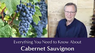 Cabernet Sauvignon Everything You Need to Know  Including Suggested Food Pairings [upl. by Aigneis807]