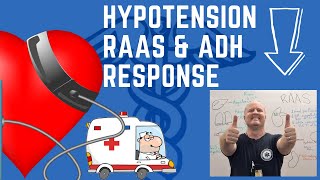 Understanding RAAS and ADH in Hypotension Control [upl. by Ahsyt]