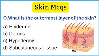 Skin Anatomy and Physiology Quiz [upl. by Hannad381]