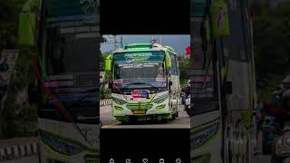 Macammacam bus artis jB 2 [upl. by Ecnadnak]