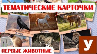 Учим названия животных  Карточки для детей quotЖивотные и птицыquot [upl. by Middlesworth331]