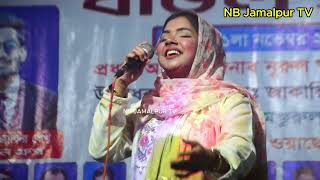 সিমা সরকার ডিজে গান  Sima Sorkar  নলের চর মেলান্দহ  জামালপুর ২০২৪ [upl. by Lougheed]