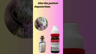 Eupatorium perf Homeopathic Medicine  Eupatorium perf 30  200  benefits Identifying Symptoms [upl. by Annovoj877]