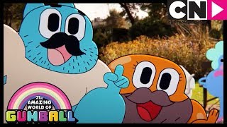 Wąsy  Niesamowity świat Gumballa  Cartoon Network [upl. by Isus]