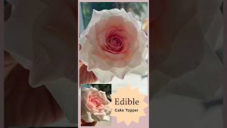 GumPaste Flower Large Rose diysugarflowerscakedecorating caketoppersweddingcakerealisticart [upl. by Beret]