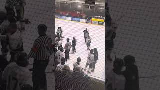 Oxford Rising Stars vs Haringey Huskies NIHL 31124 [upl. by Araldo252]