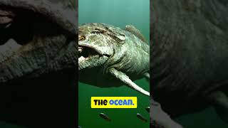 The Goblin Sharks Eerie Superpower factsocean deepsea sharks [upl. by Elagibba]