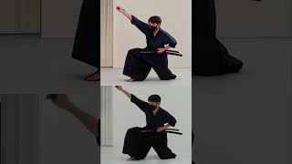 Anime katana Quick sword throw battojutsu anime battojutsu [upl. by Ilrak186]