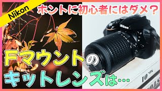 【Nikon】Nikonのキットレンズは凄いよ！  AFS DX VR ZoomNikkor 55200mm f456G IFED  Nikon D3300【オールドレンズ】 [upl. by Asena]