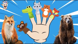 Wild Animals Finger Family Song  Bear Crocodile Wolf Tiger and Fox Finger Family Nursery Rhyme [upl. by Mandler260]