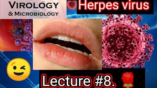 herpes virus microbiology herpes virus replication cycle ❤️❤️ clinicalVirology microbiology [upl. by Hengel]