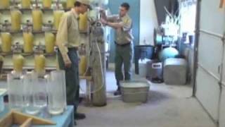 Minnesota DNR Fisheries Management  Warmwater Hatchery [upl. by Cart457]