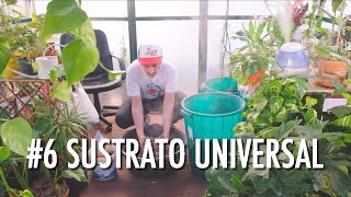 6 SUSTRATO Universal para tus plantas [upl. by Sydel]